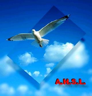 A.H.S.L.